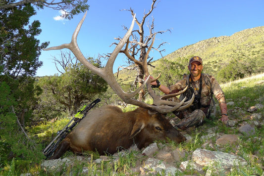The Impossible Dream: Four Bulls Arrowed on Film in 2011