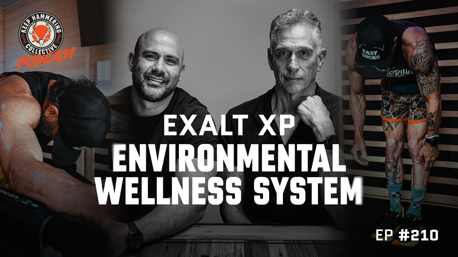 KHC210 - EXALT XP ENVIRONMENTAL WELLNESS SYSTEM
