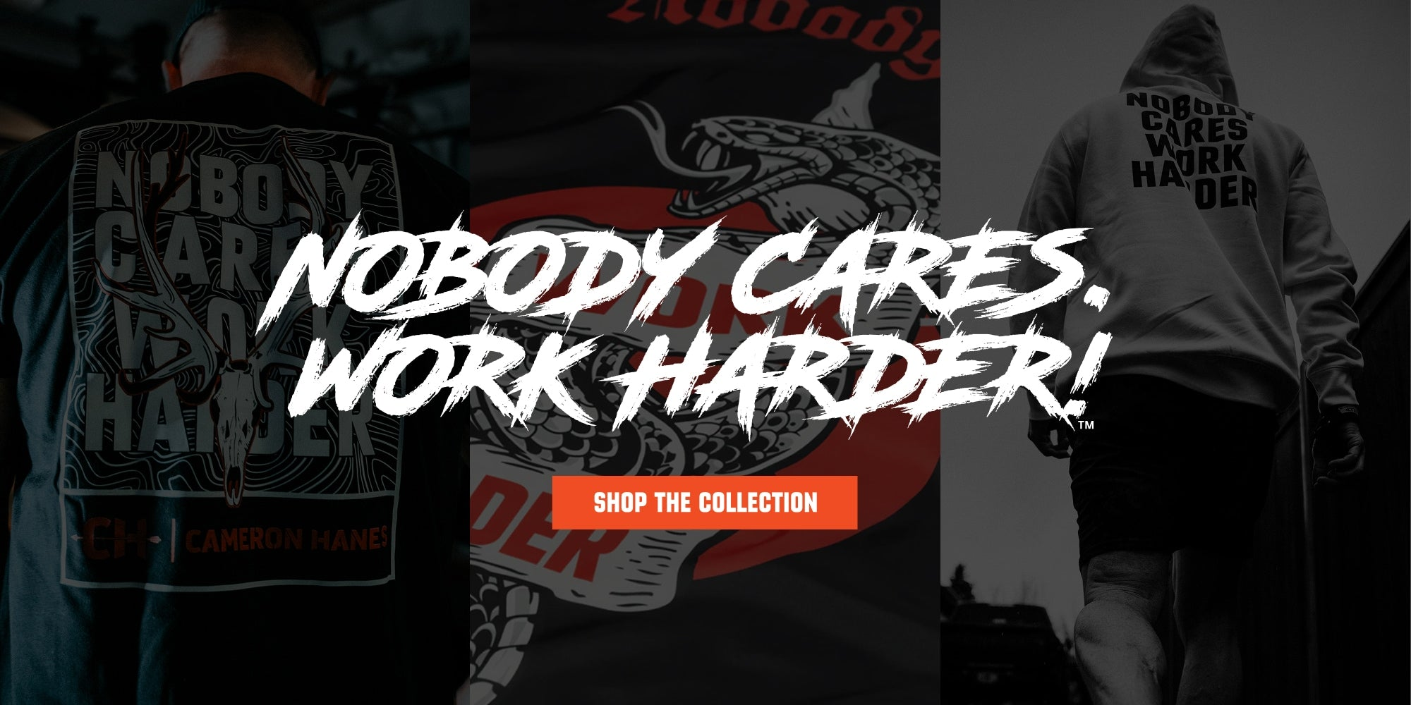 NOBODY CARES. WORK HARDER!