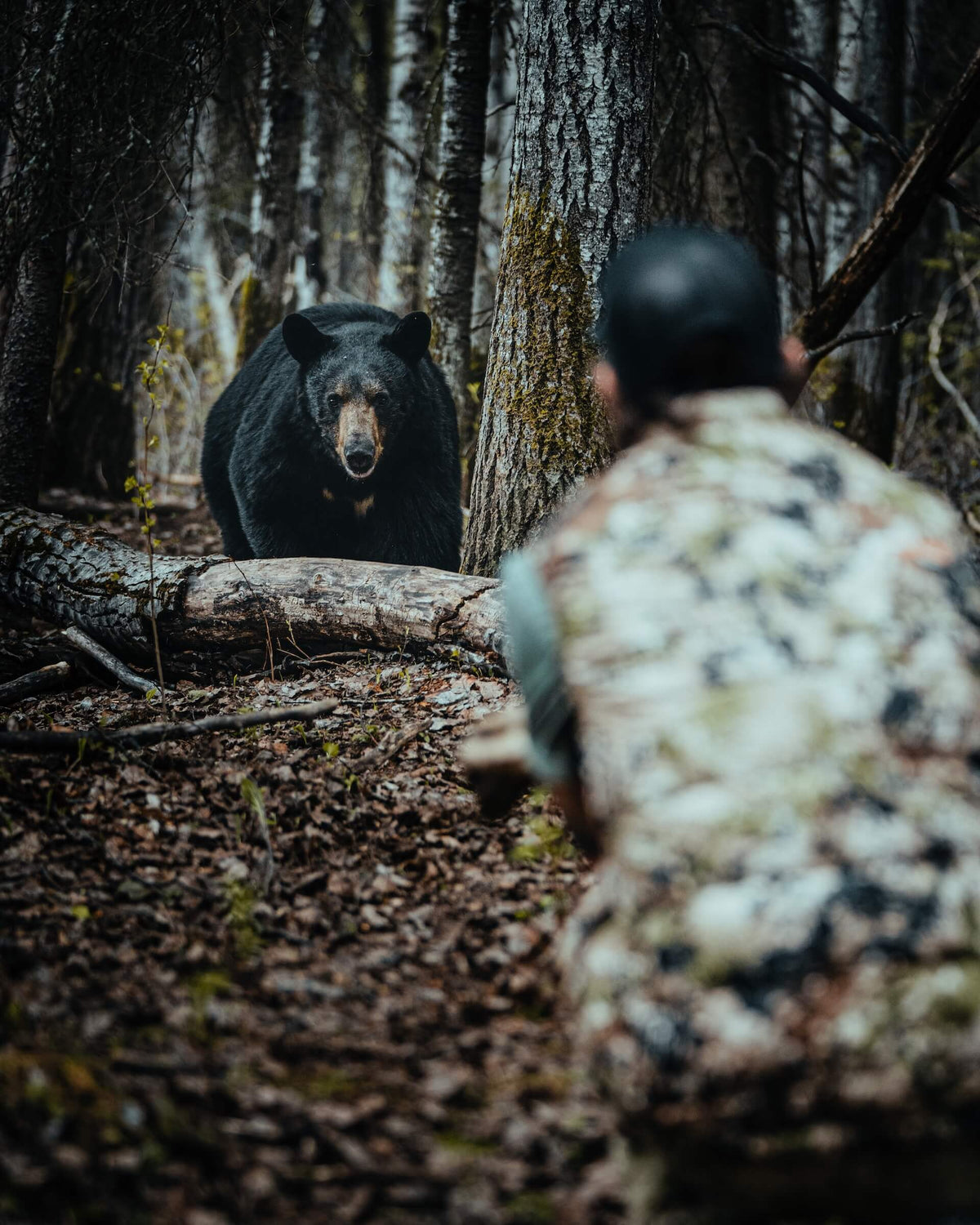 HUNT