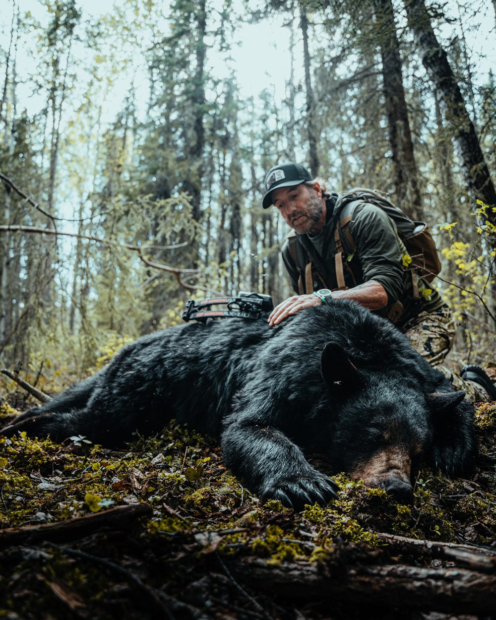 Bush Dragons bear hunt with the Rivets in Northern Alberta