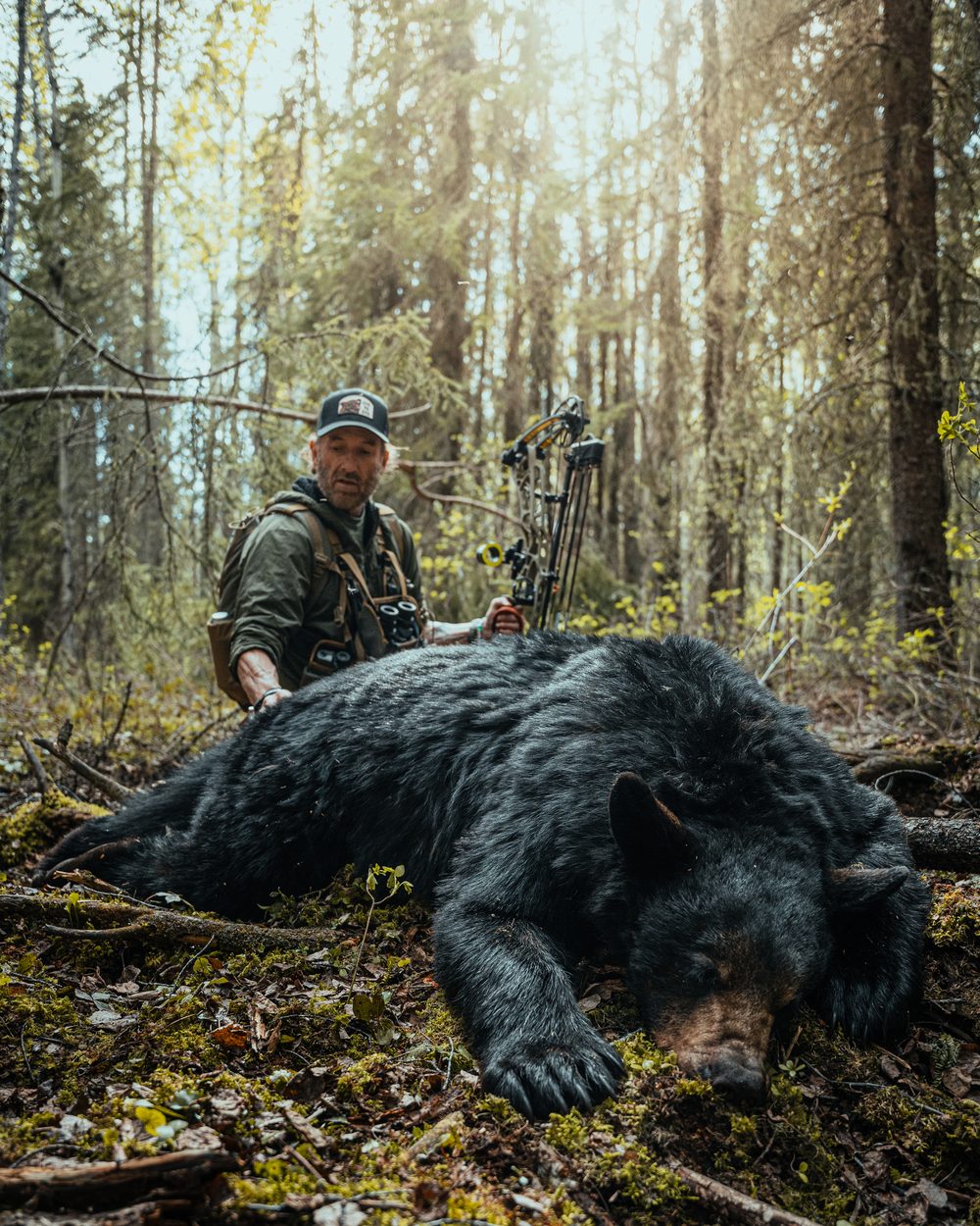 Bush Dragons bear hunt with the Rivets in Northern Alberta