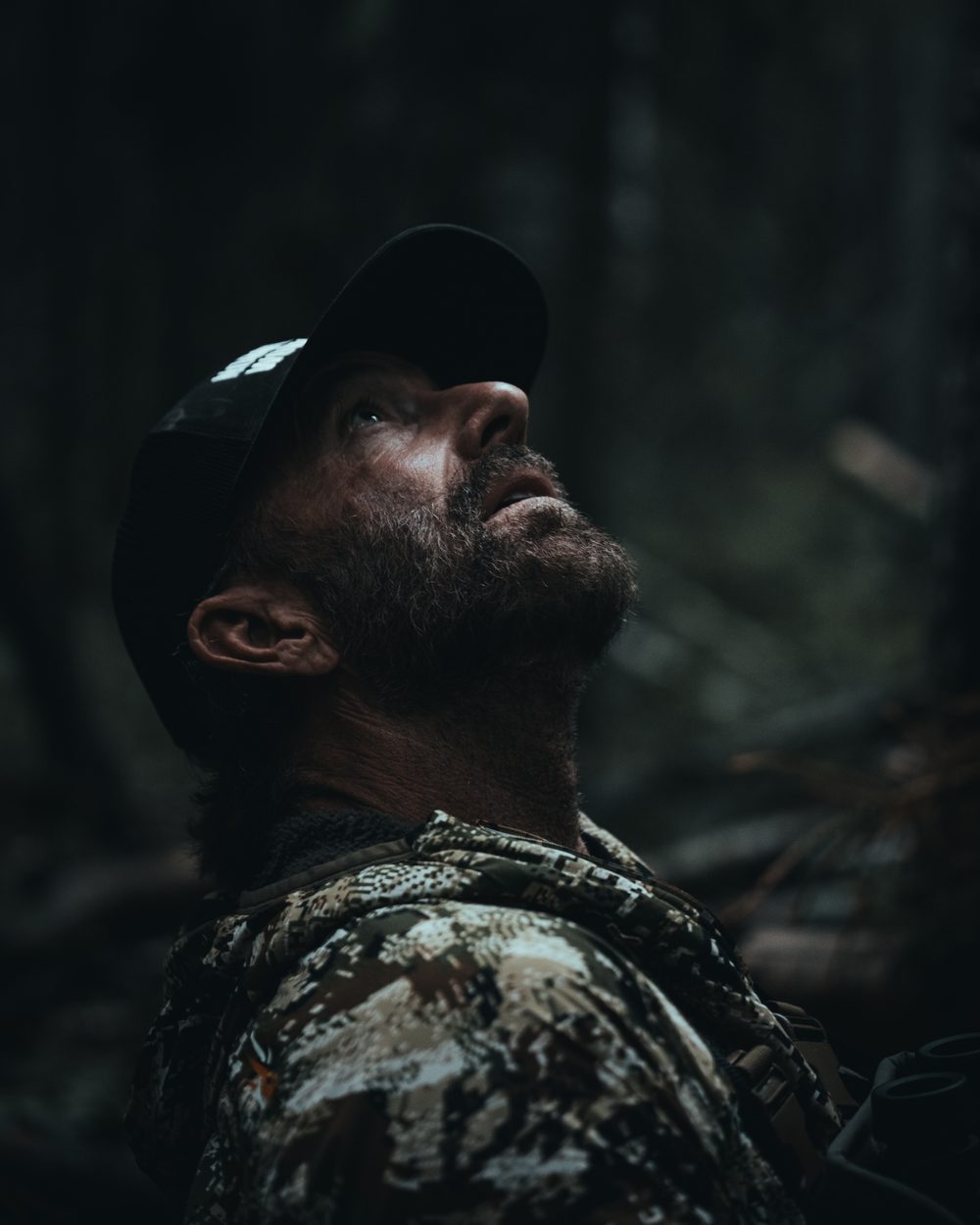 Bush Dragons bear hunt with the Rivets in Northern Alberta