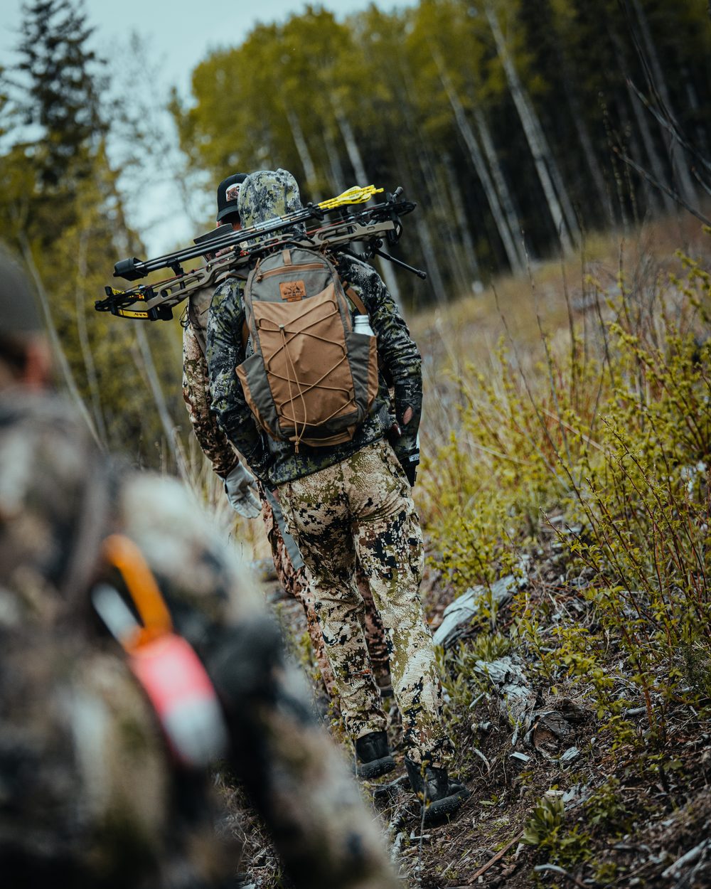 Bush Dragons bear hunt with the Rivets in Northern Alberta